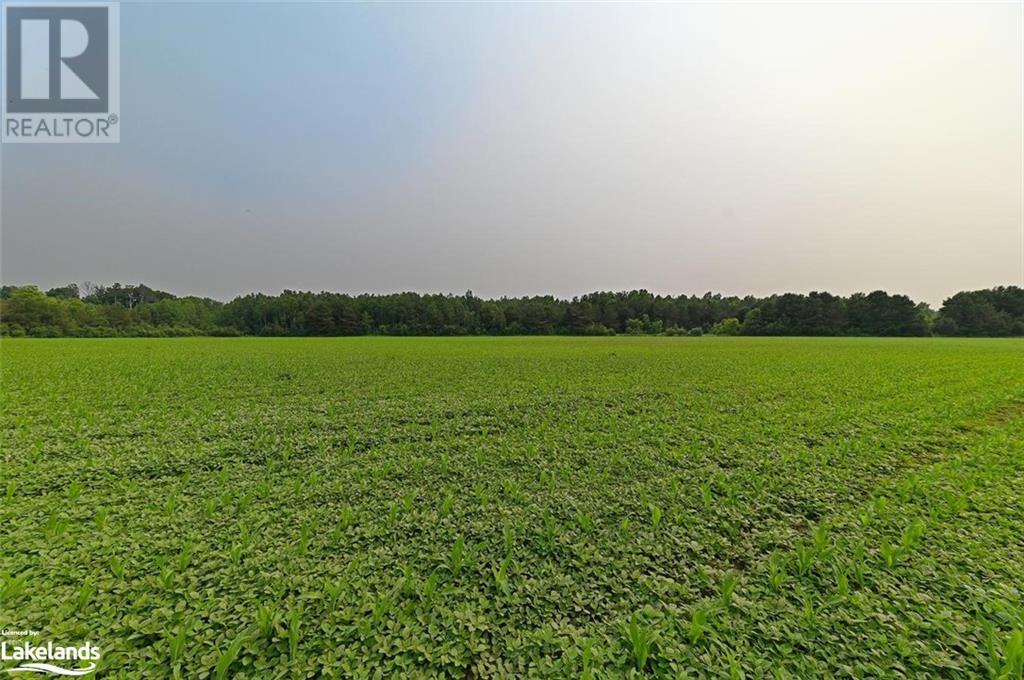 2964 12/13 Sunnidale Sideroad S, New Lowell, Ontario  L0M 1N0 - Photo 37 - 40587069