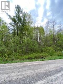 00 Rooney Road, Edwardsburgh/cardinal, Ontario  K0E 1T0 - Photo 2 - X8333360