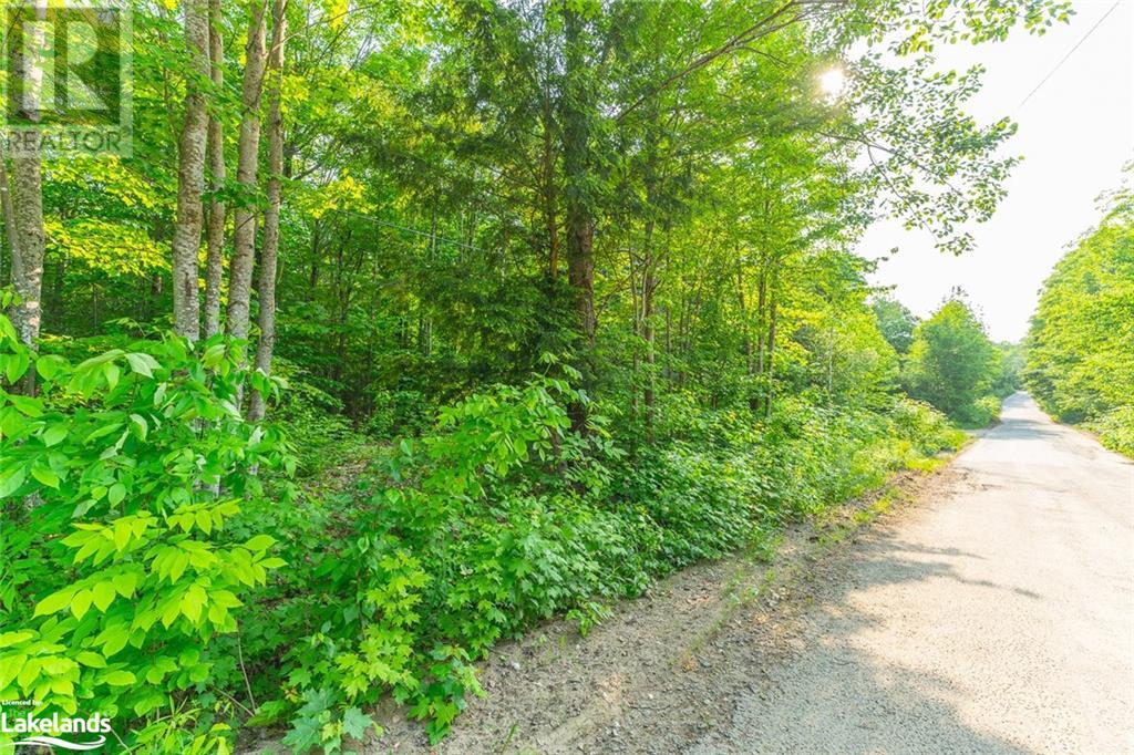 Lot 17 Mink Road, Haliburton, Ontario  K0M 1S0 - Photo 3 - 40587092