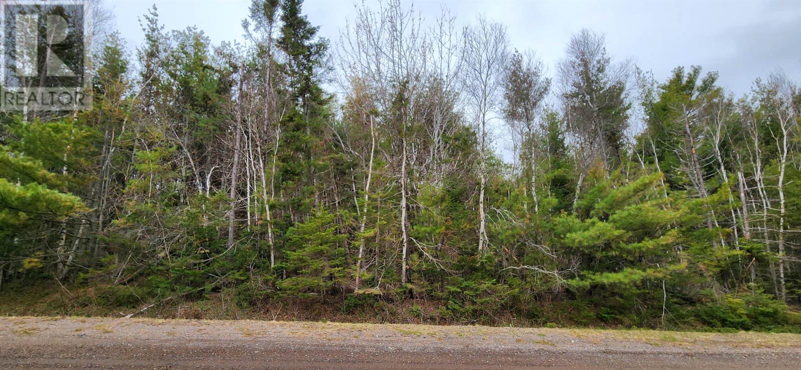 Lot Weatherby Road, Upton, Prince Edward Island  C0A 1G0 - Photo 6 - 202410290