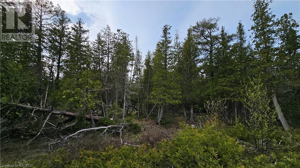 Lt 255 Pl 433 Pedwell Pt Drive, Northern Bruce Peninsula, Ontario  N0H 2R0 - Photo 11 - 40588470