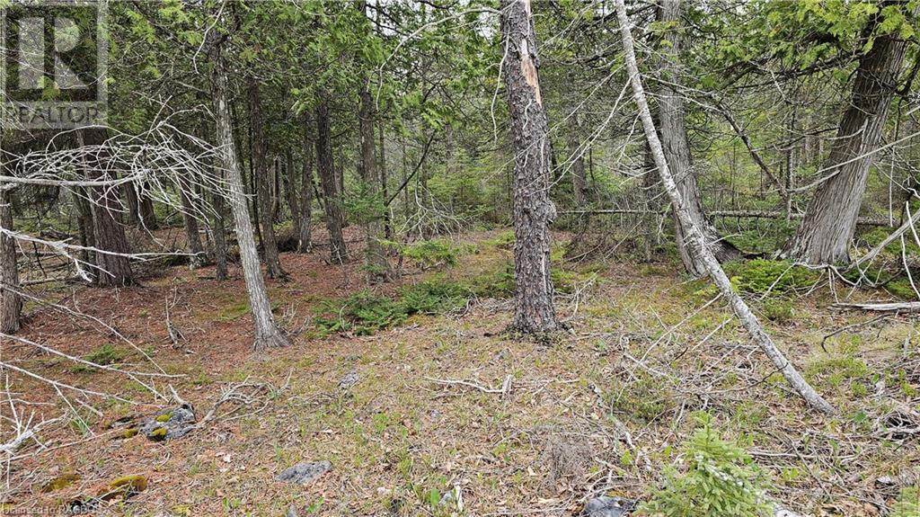 Lt 255 Pl 433 Pedwell Pt Drive, Northern Bruce Peninsula, Ontario  N0H 2R0 - Photo 5 - 40588470