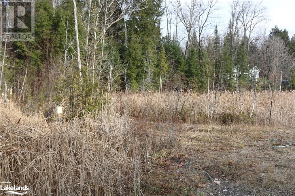 0 118 Highway E, Bracebridge, Ontario  P1L 1X1 - Photo 16 - 40588394