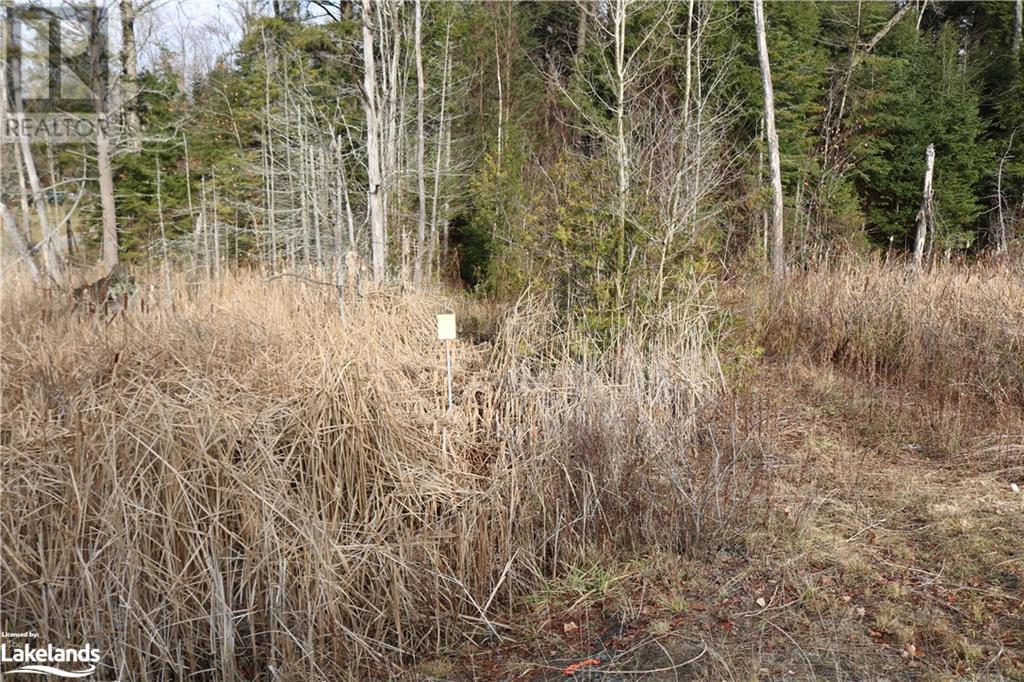 0 118 Highway E, Bracebridge, Ontario  P1L 1X1 - Photo 14 - 40588394