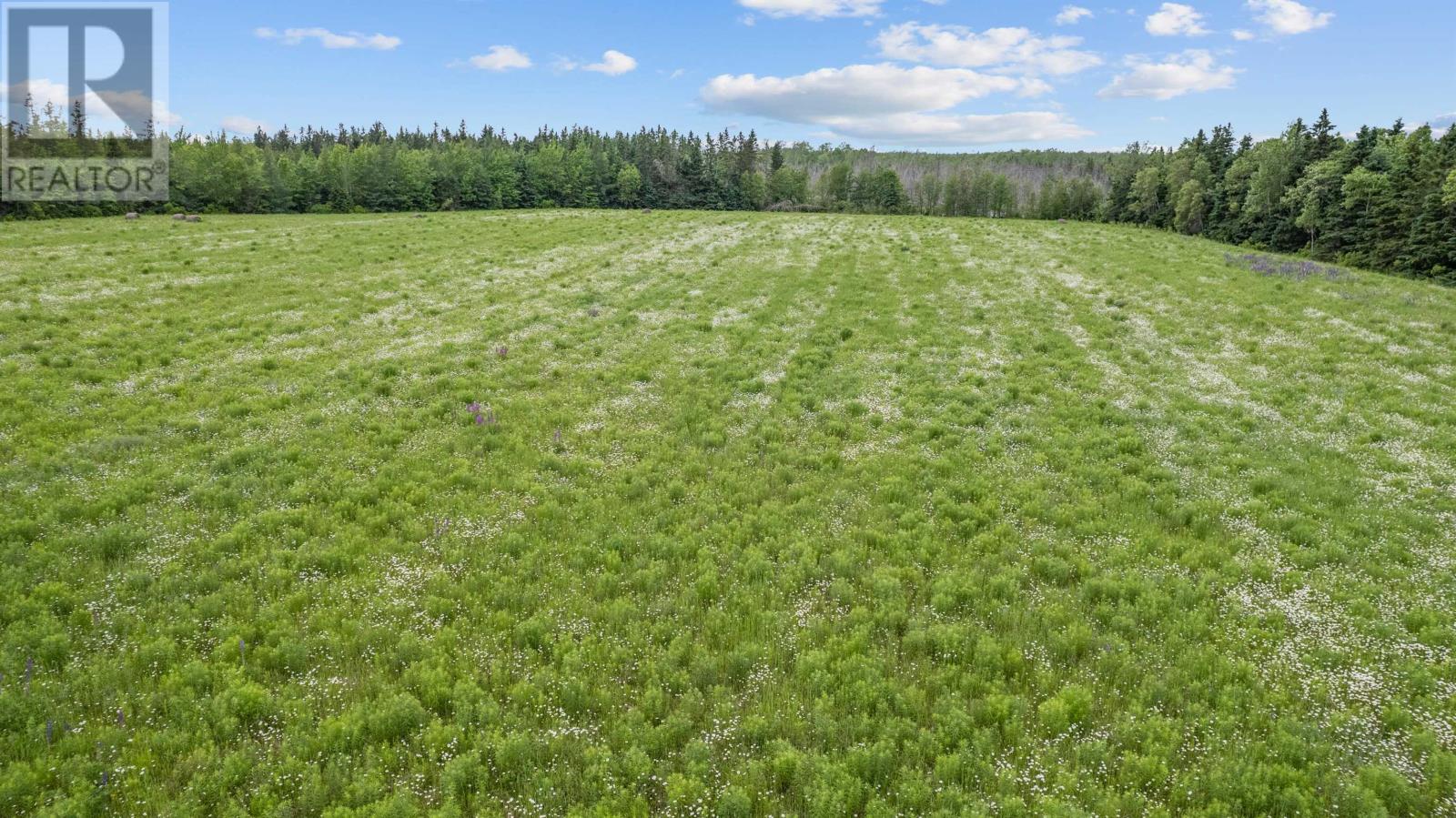 634 Peters Road, Pembroke, Prince Edward Island  C0A 1R0 - Photo 8 - 202406908