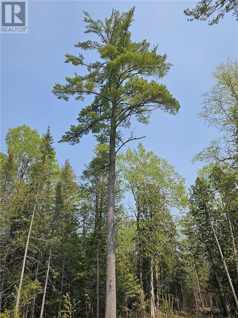 Lot 2 Sandy Point Rd, Manitoulin Island, Ontario  P0P 1N0 - Photo 6 - 2116672