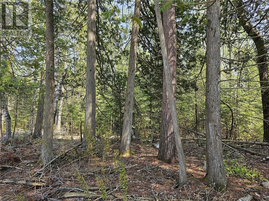 Lot 2 Sandy Point Rd, Manitoulin Island, Ontario  P0P 1N0 - Photo 8 - 2116672