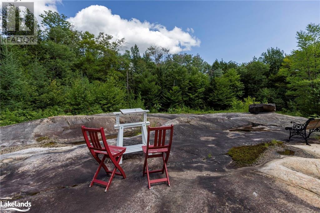 3109 Aspdin Road, Utterson, Ontario  P0B 1M0 - Photo 45 - 40583361