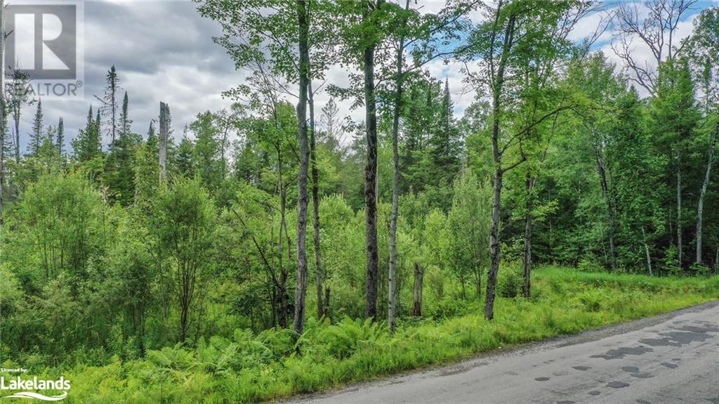 432 Clearwater Lake Road, Port Sydney, Ontario  P0B 1L0 - Photo 2 - 40587998