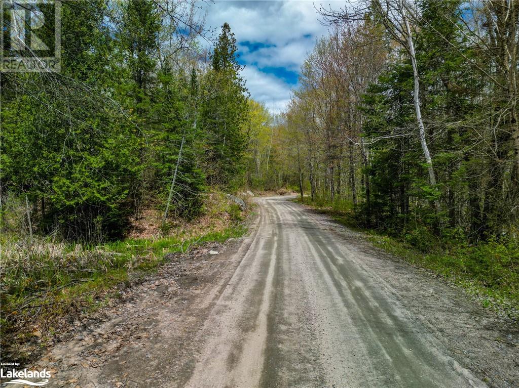 831 Shawanaga Lake Road, Dunchurch, Ontario  P0A 1G0 - Photo 9 - 40588702