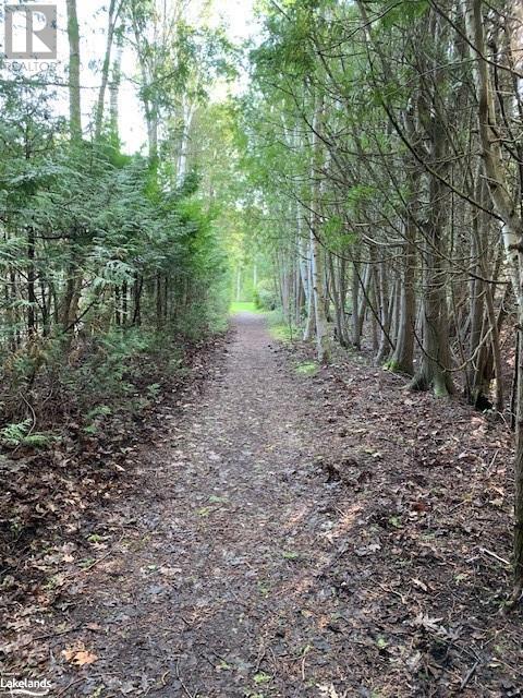 Lot 266 Champlain Road, Tiny, Ontario  L9M 0C6 - Photo 3 - 40588485