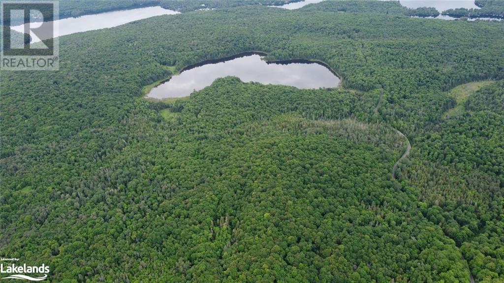 0 Harburn Road, Haliburton, Ontario  K0M 1S0 - Photo 11 - 40588788