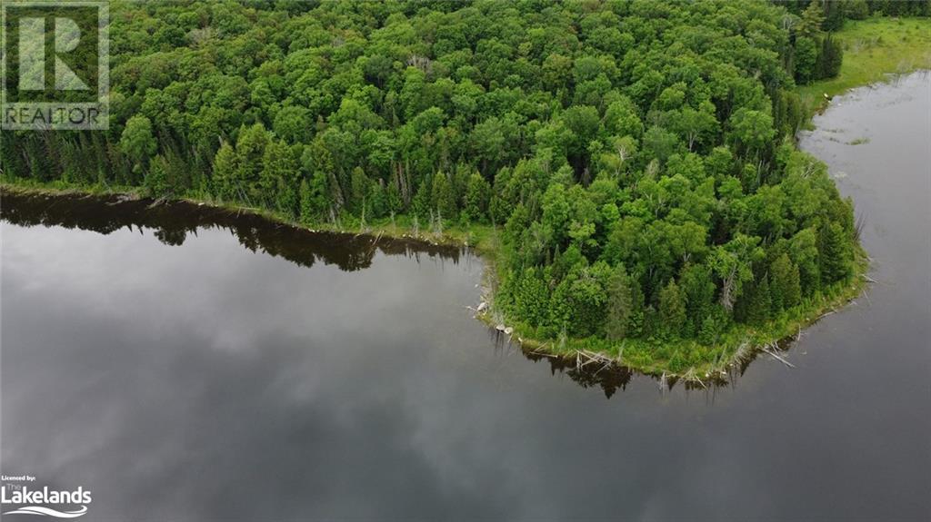 0 Harburn Road, Haliburton, Ontario  K0M 1S0 - Photo 15 - 40588788