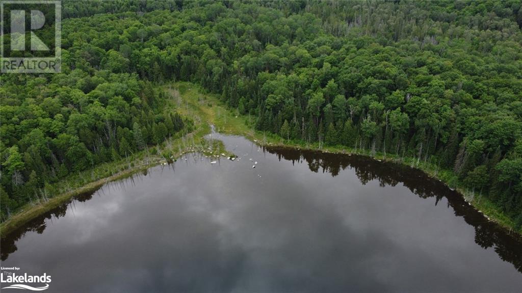 0 Harburn Road, Haliburton, Ontario  K0M 1S0 - Photo 17 - 40588788