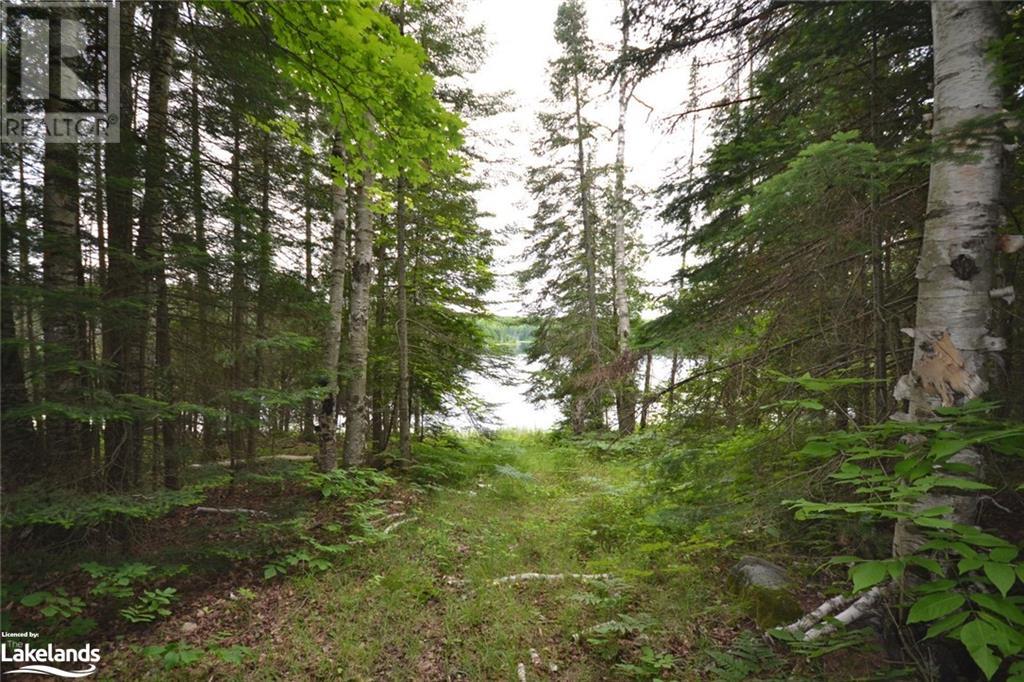 0 Harburn Road, Haliburton, Ontario  K0M 1S0 - Photo 19 - 40588788