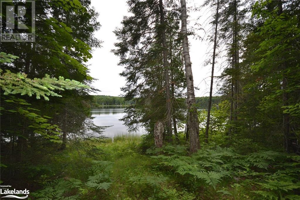 0 Harburn Road, Haliburton, Ontario  K0M 1S0 - Photo 20 - 40588788