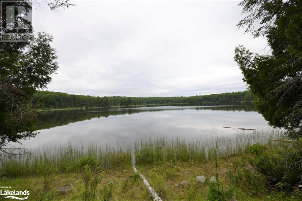 0 Harburn Road, Haliburton, Ontario  K0M 1S0 - Photo 21 - 40588788