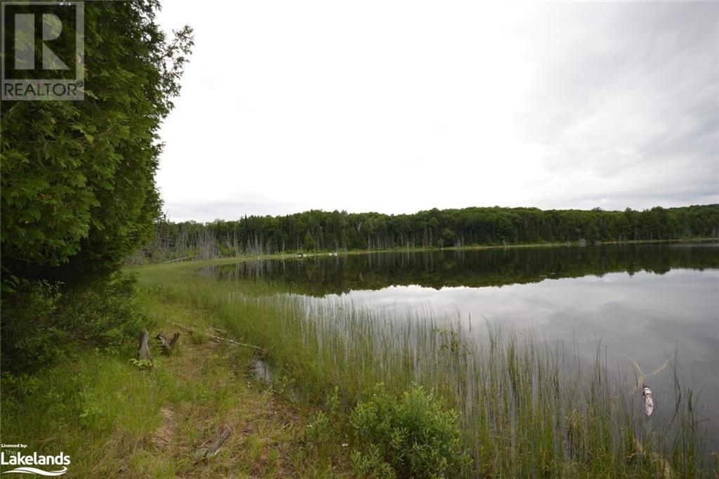 0 Harburn Road, Haliburton, Ontario  K0M 1S0 - Photo 22 - 40588788