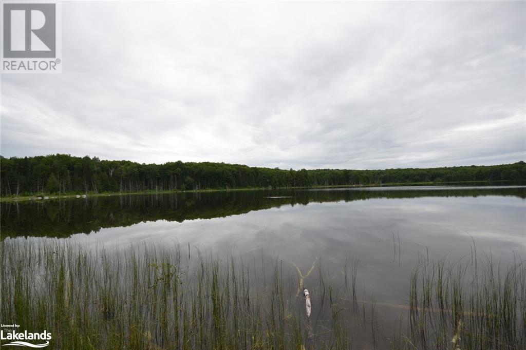 0 Harburn Road, Haliburton, Ontario  K0M 1S0 - Photo 24 - 40588788