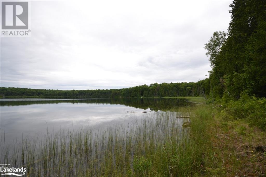 0 Harburn Road, Haliburton, Ontario  K0M 1S0 - Photo 25 - 40588788