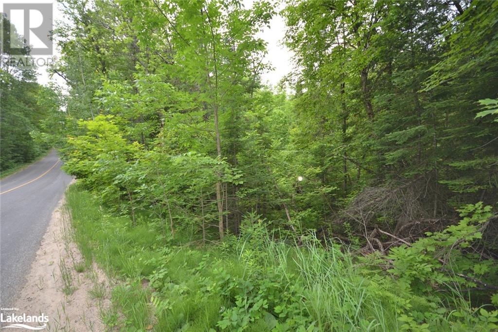 0 Harburn Road, Haliburton, Ontario  K0M 1S0 - Photo 26 - 40588788