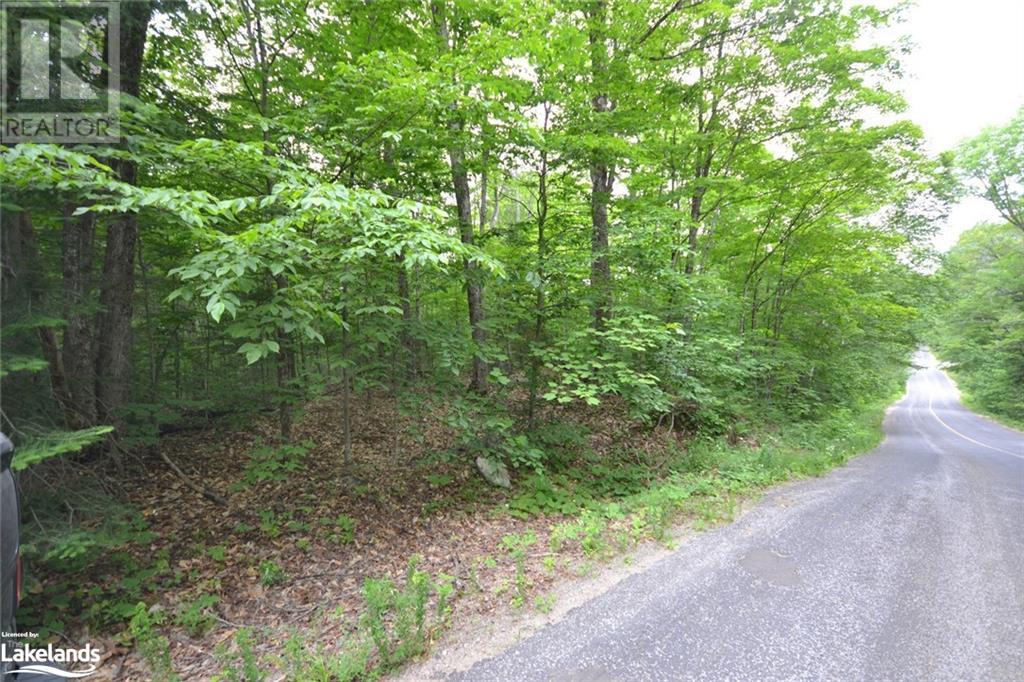 0 Harburn Road, Haliburton, Ontario  K0M 1S0 - Photo 27 - 40588788