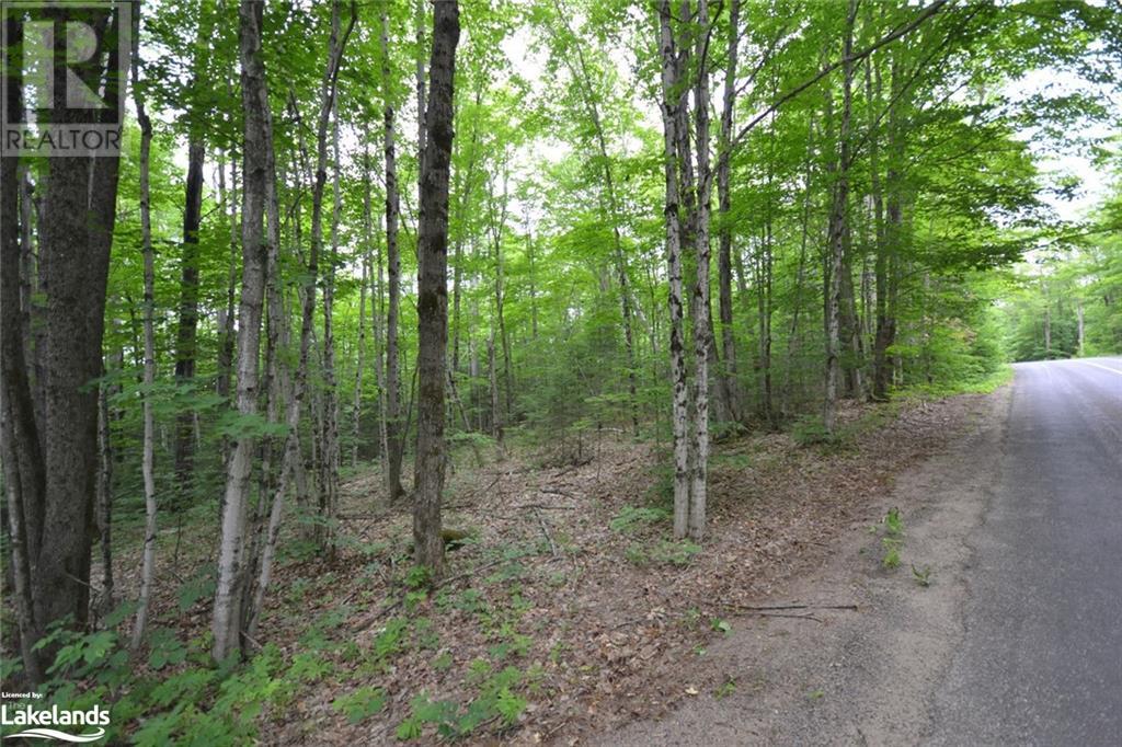 0 Harburn Road, Haliburton, Ontario  K0M 1S0 - Photo 28 - 40588788