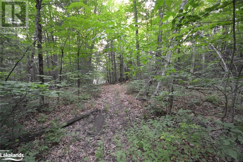0 Harburn Road, Haliburton, Ontario  K0M 1S0 - Photo 30 - 40588788