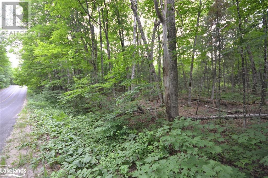 0 Harburn Road, Haliburton, Ontario  K0M 1S0 - Photo 31 - 40588788