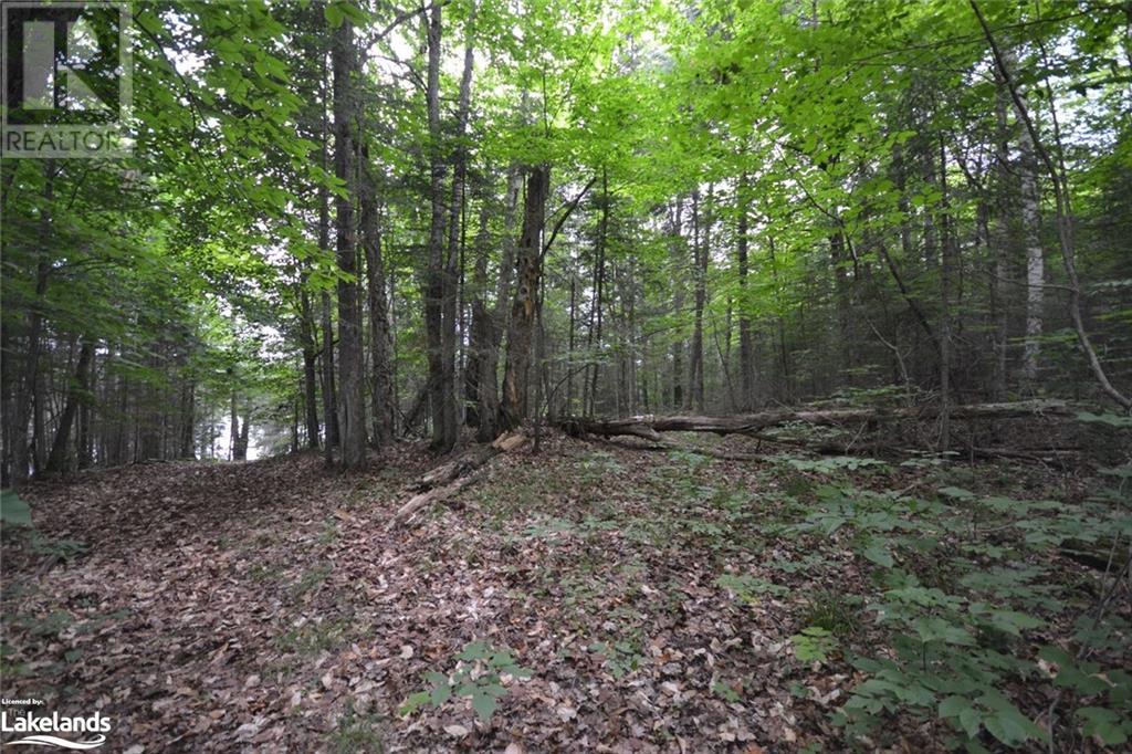 0 Harburn Road, Haliburton, Ontario  K0M 1S0 - Photo 32 - 40588788