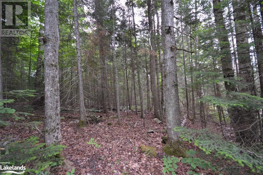 0 Harburn Road, Haliburton, Ontario  K0M 1S0 - Photo 33 - 40588788