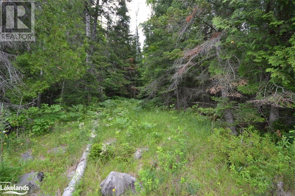 0 Harburn Road, Haliburton, Ontario  K0M 1S0 - Photo 34 - 40588788