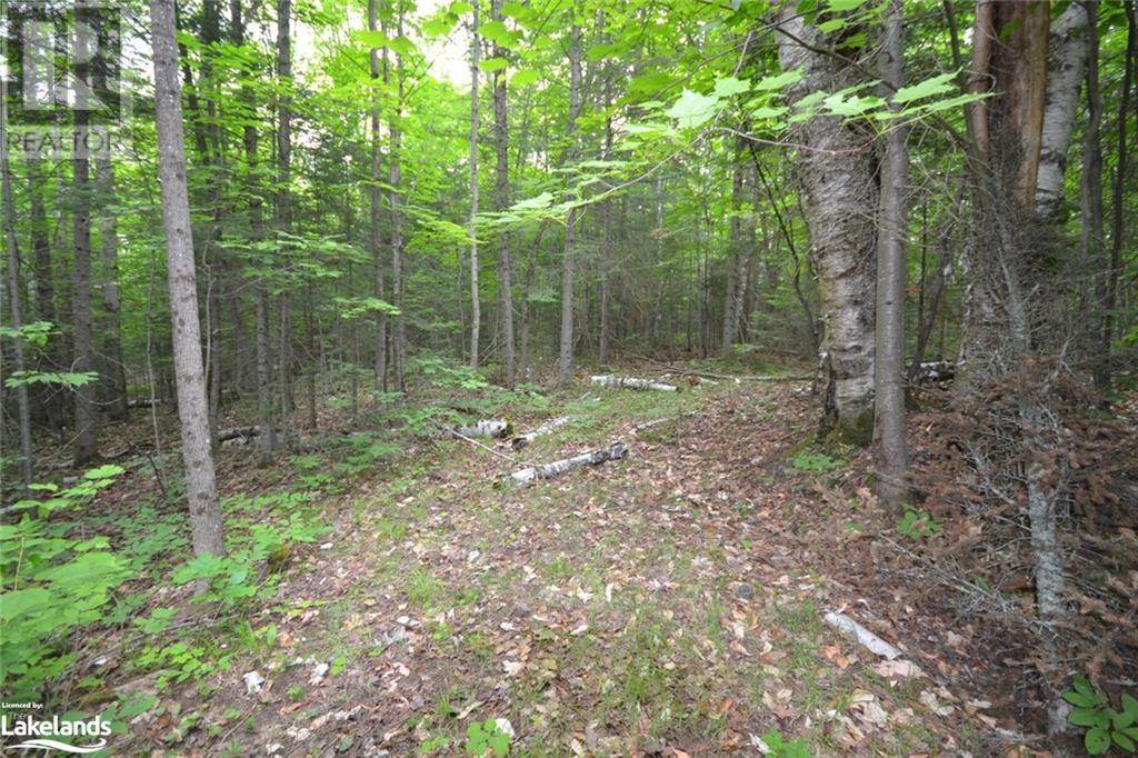 0 Harburn Road, Haliburton, Ontario  K0M 1S0 - Photo 35 - 40588788