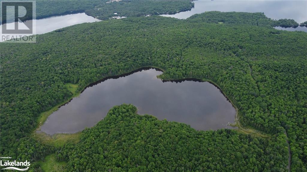 0 Harburn Road, Haliburton, Ontario  K0M 1S0 - Photo 4 - 40588788