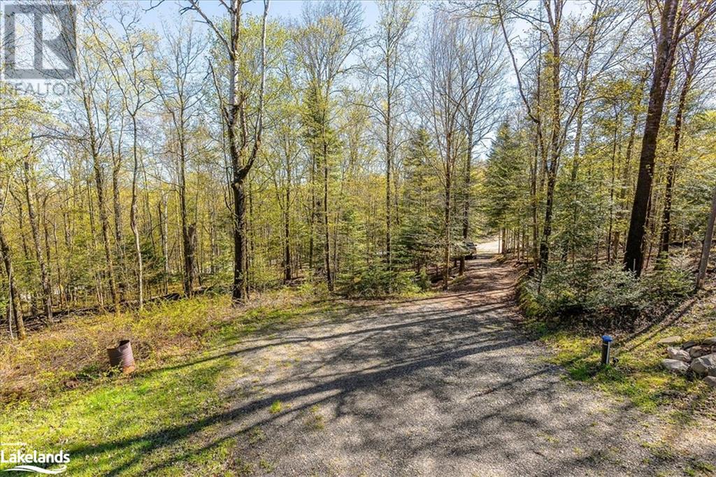 1112 Bushwolf Lake Road, Haliburton, Ontario  K0M 1S0 - Photo 40 - 40585036