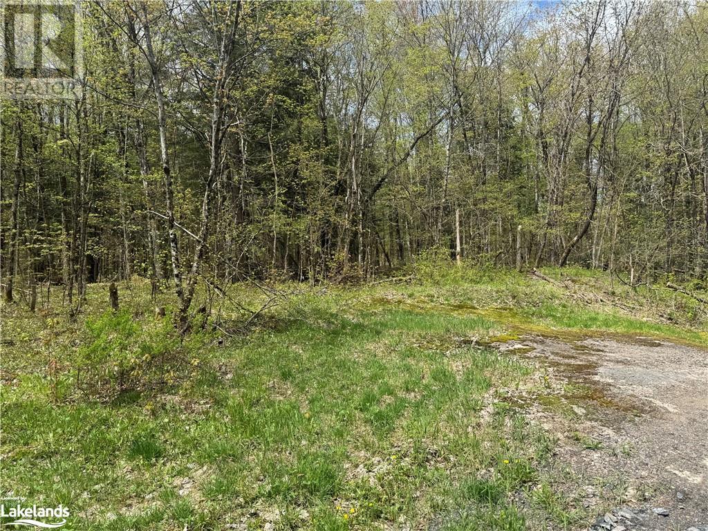 0 Healey Lake Road, Bracebridge, Ontario  P1L 1X3 - Photo 8 - 40586712