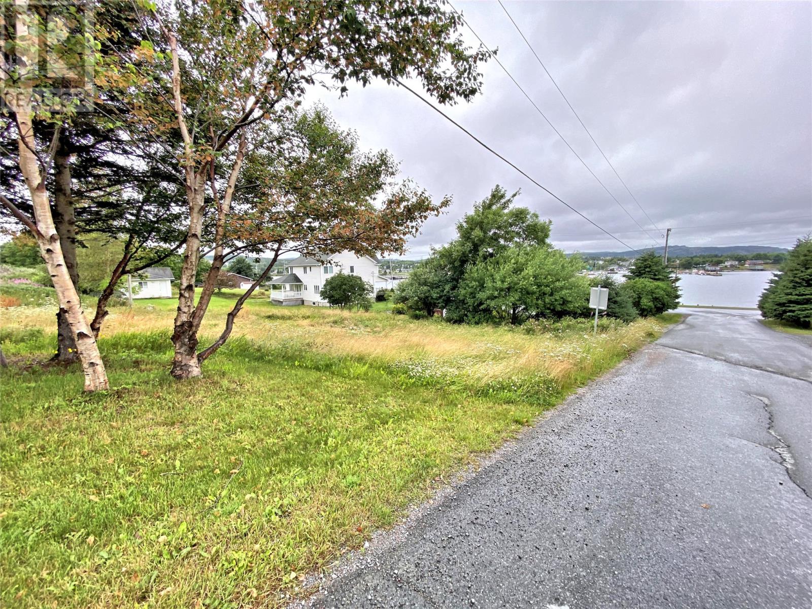 4-6 Love Street, Bay Roberts, Newfoundland & Labrador  A0A 1G0 - Photo 4 - 1271928