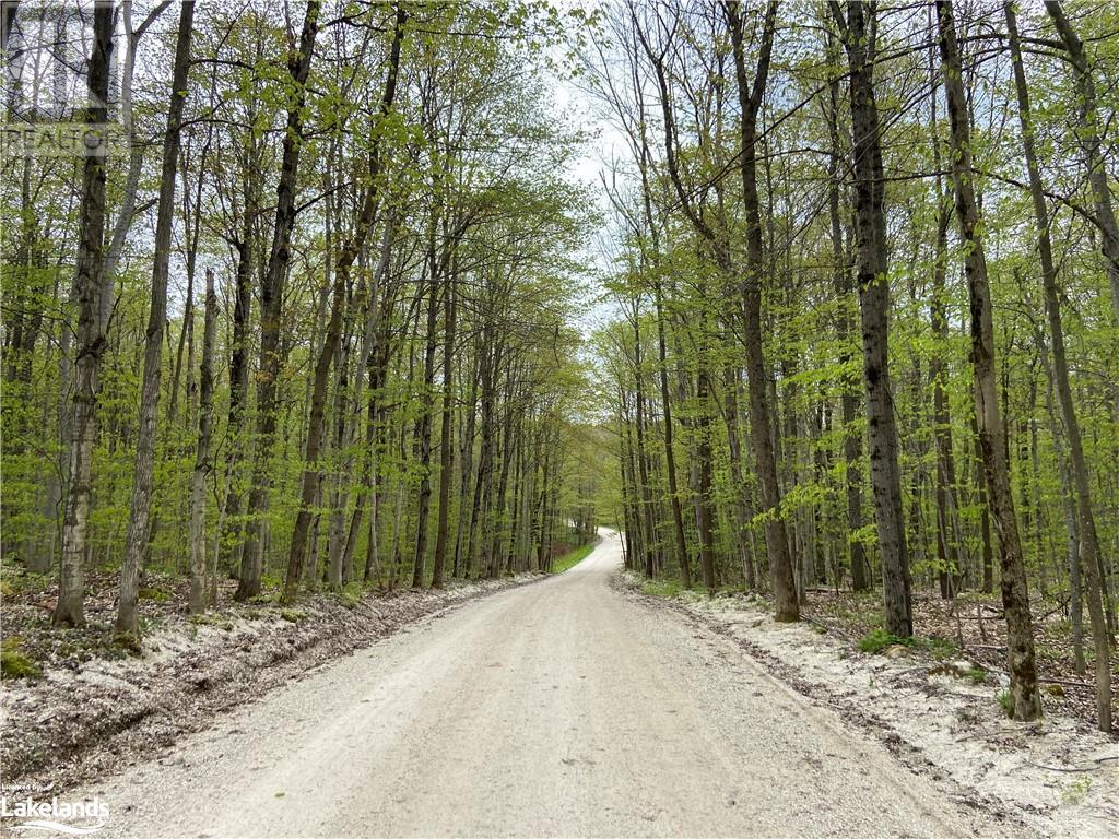 Part Lot 9 Concession  14 Osprey The Blue Mountains Townline, Grey Highlands, Ontario  N0H 2E0 - Photo 16 - 40588730