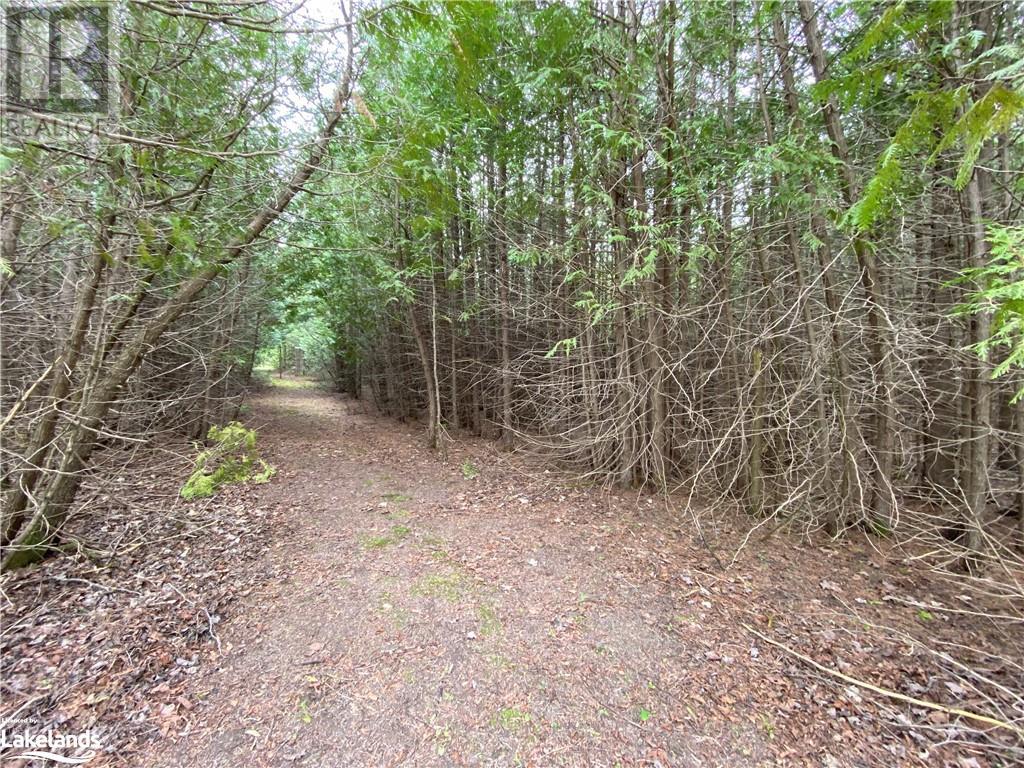 Part Lot 9 Concession  14 Osprey The Blue Mountains Townline, Grey Highlands, Ontario  N0H 2E0 - Photo 3 - 40588730