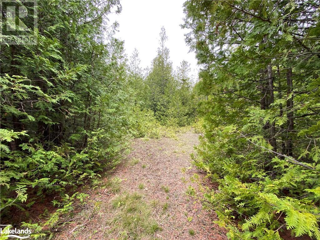Part Lot 9 Concession  14 Osprey The Blue Mountains Townline, Grey Highlands, Ontario  N0H 2E0 - Photo 4 - 40588730