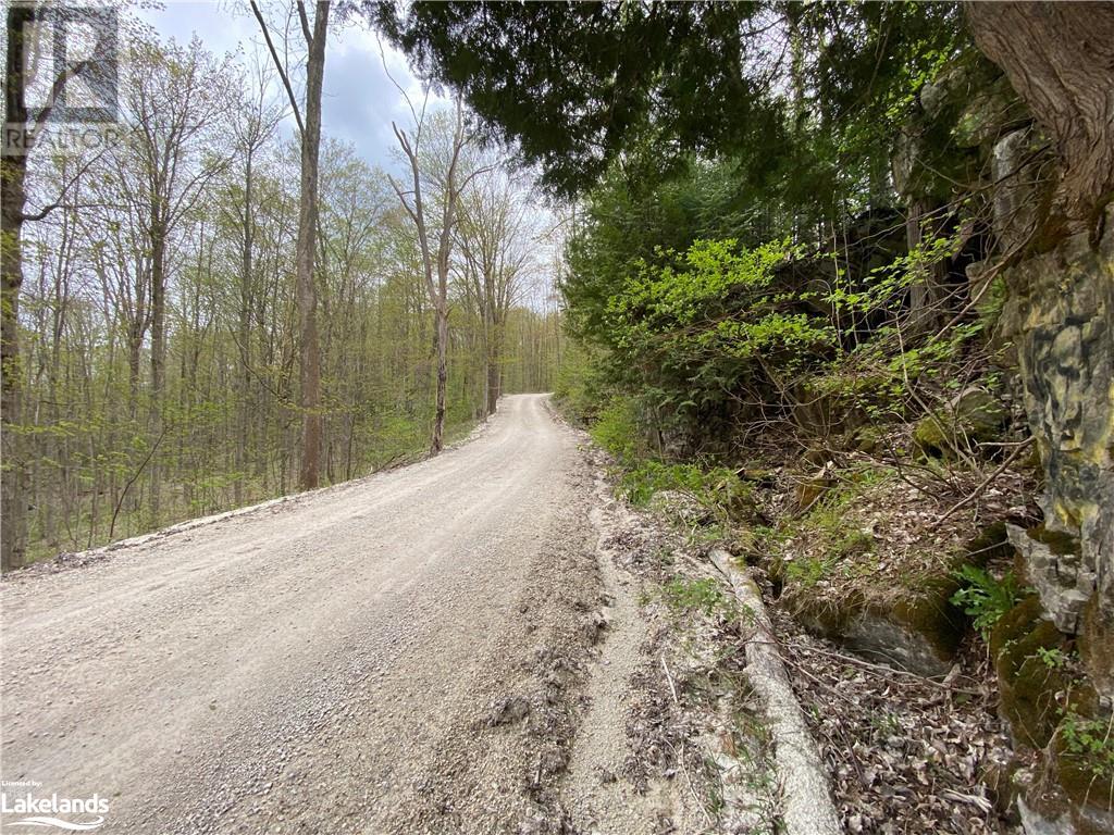 Part Lot 9 Concession  14 Osprey The Blue Mountains Townline, Grey Highlands, Ontario  N0H 2E0 - Photo 15 - 40588730