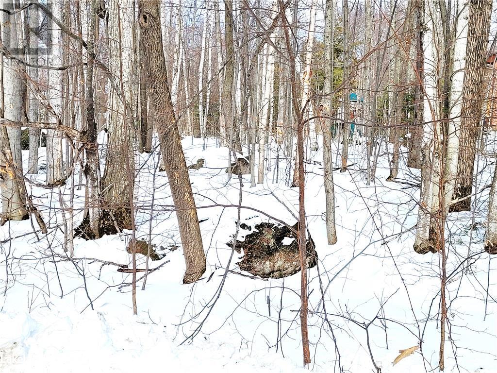 Lot 27 Mulberry Court, Tiny, Ontario  L9M 0H8 - Photo 12 - 40588686