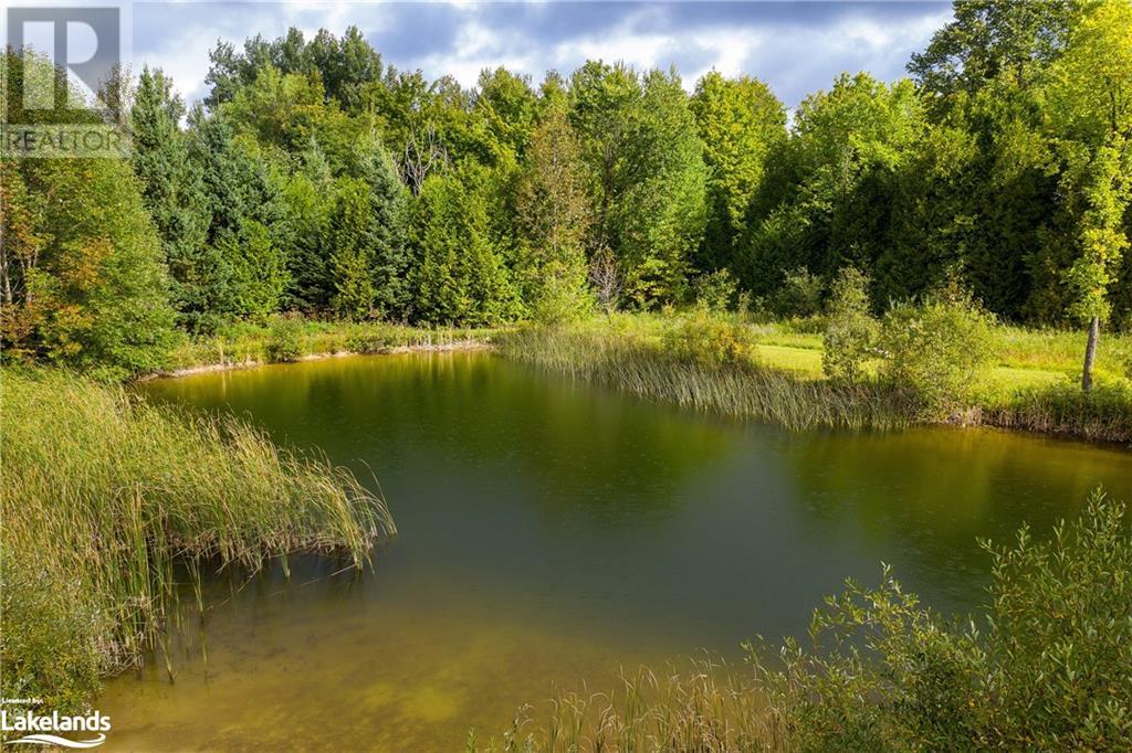 0 70 Sideroad Unit# Pt Lt 70, Chatsworth, Ontario  N0C 1H0 - Photo 11 - 40586614