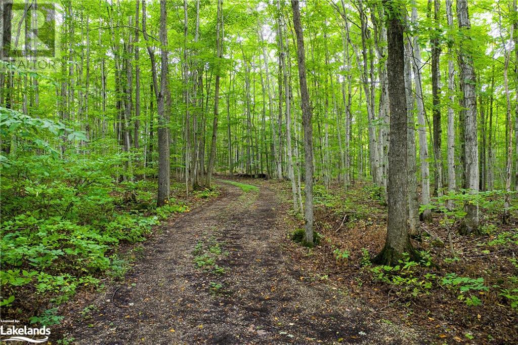 0 70 Sideroad Unit# Pt Lt 70, Chatsworth, Ontario  N0C 1H0 - Photo 18 - 40586614