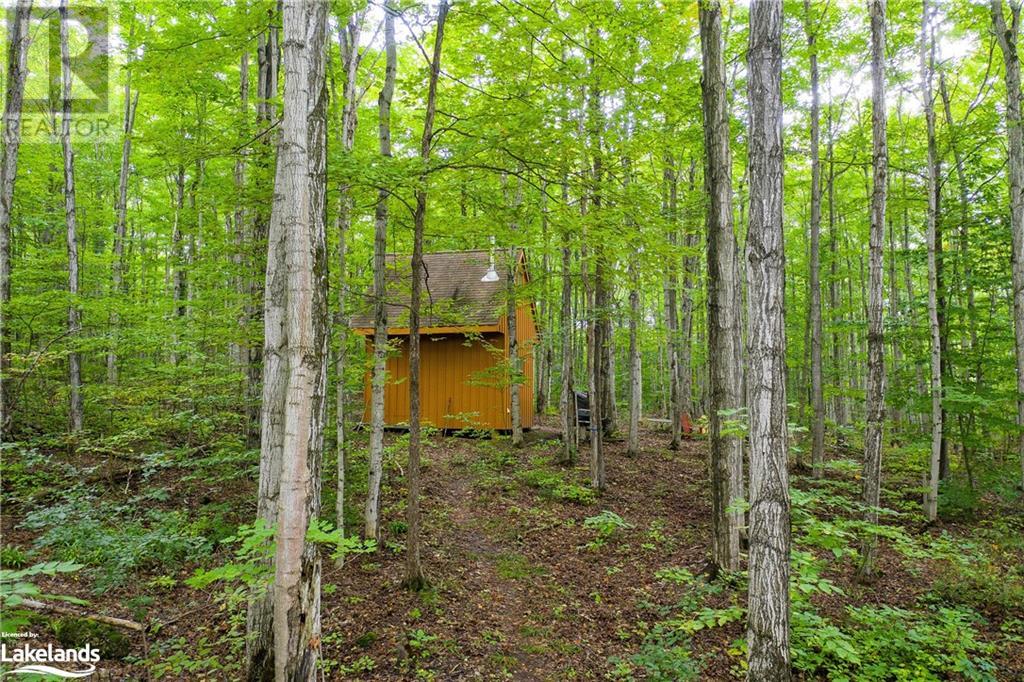 0 70 Sideroad Unit# Pt Lt 70, Chatsworth, Ontario  N0C 1H0 - Photo 22 - 40586614