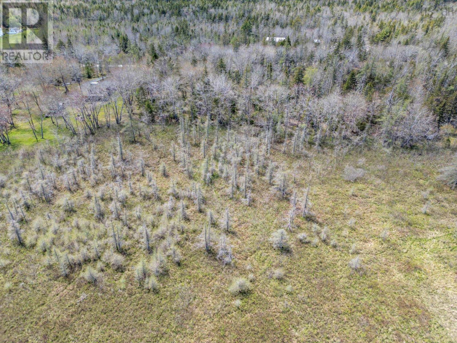 Lot Bloomfield Road, Pleasant Valley, Nova Scotia  B5A 5N5 - Photo 4 - 202410462