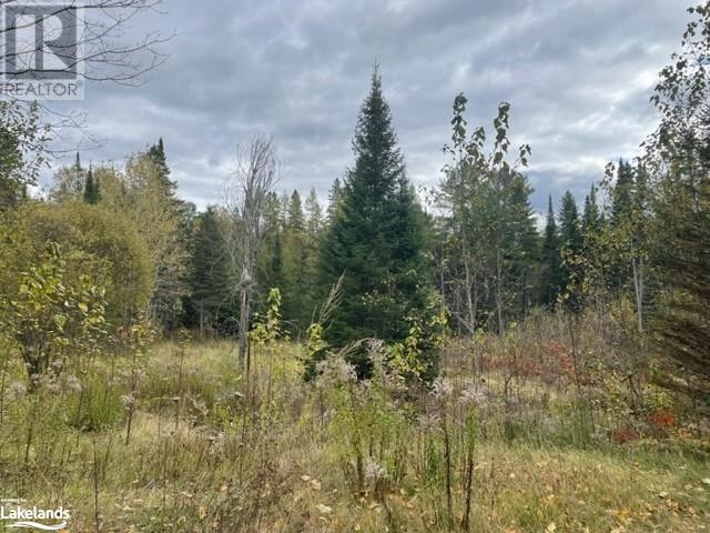 1014 Bulrush Trail, Gooderham, Ontario  K0M 1R0 - Photo 2 - 40589413