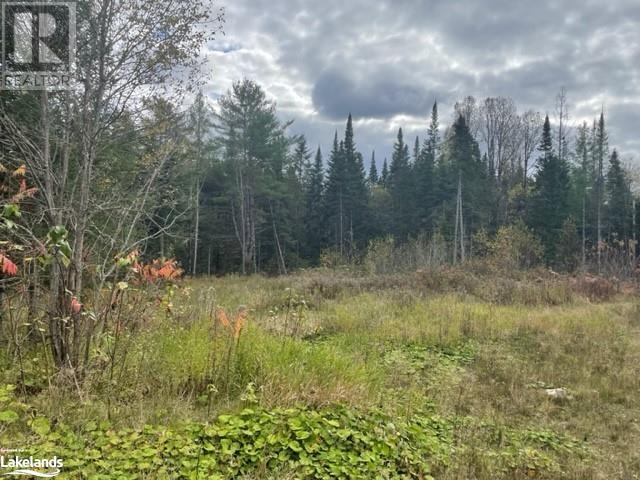 1014 Bulrush Trail, Gooderham, Ontario  K0M 1R0 - Photo 5 - 40589413