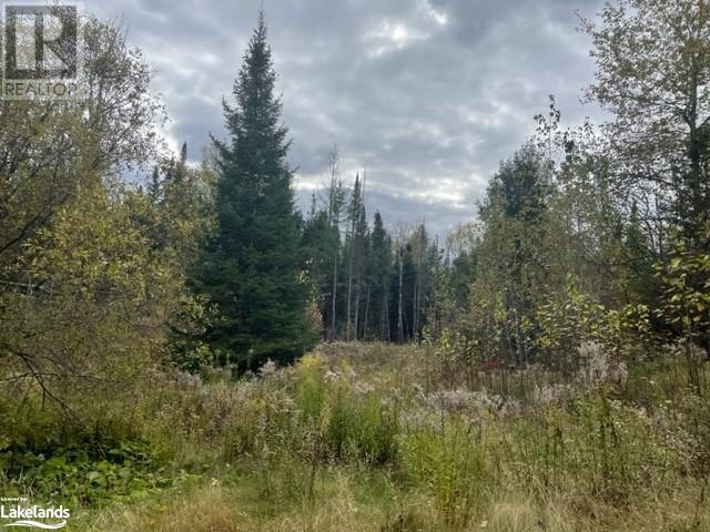 1014 Bulrush Trail, Gooderham, Ontario  K0M 1R0 - Photo 6 - 40589413