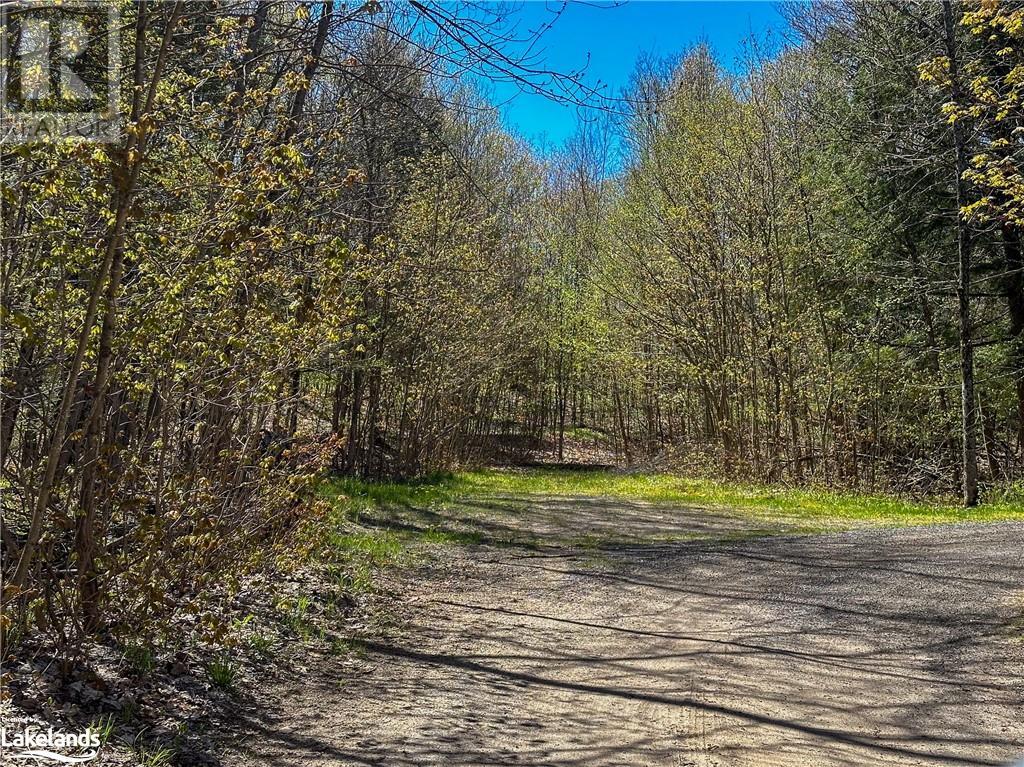 Lot 57 Burnside Bridge Road, Mcdougall, Ontario  P2A 2W9 - Photo 18 - 40584818